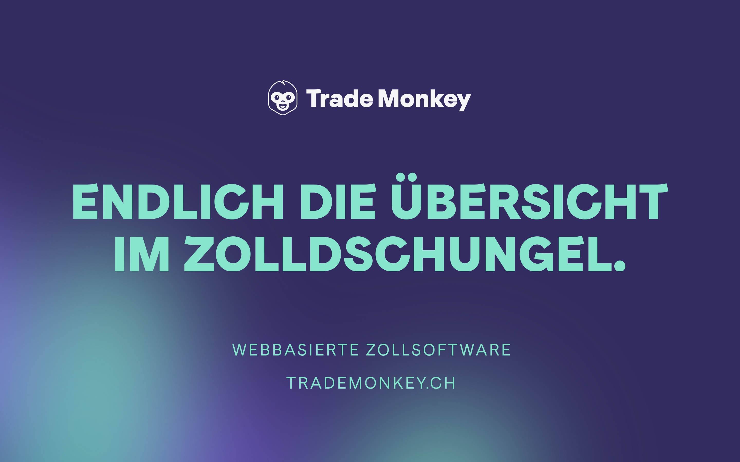 webbasierte Zollsoftware