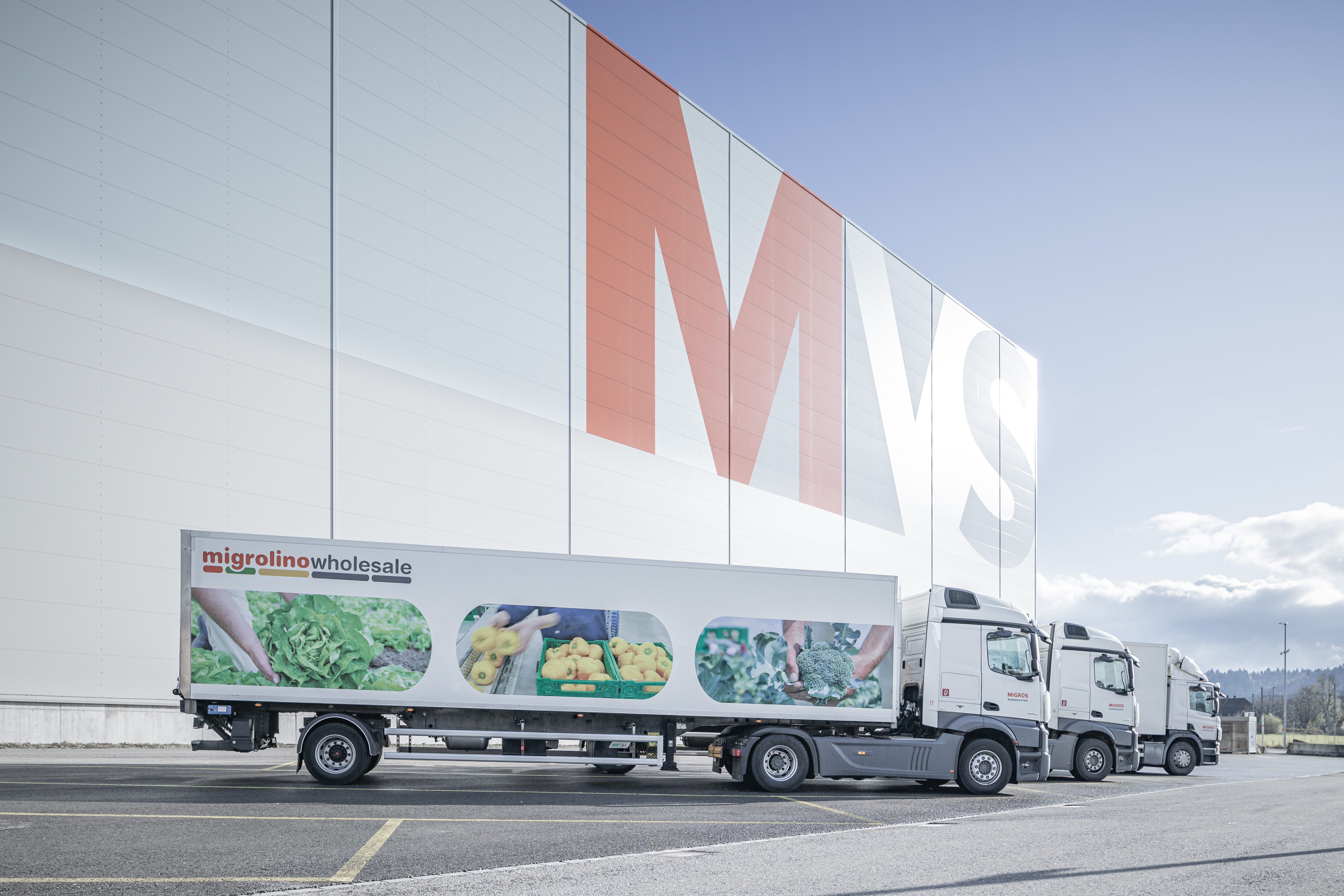 MVS Transport